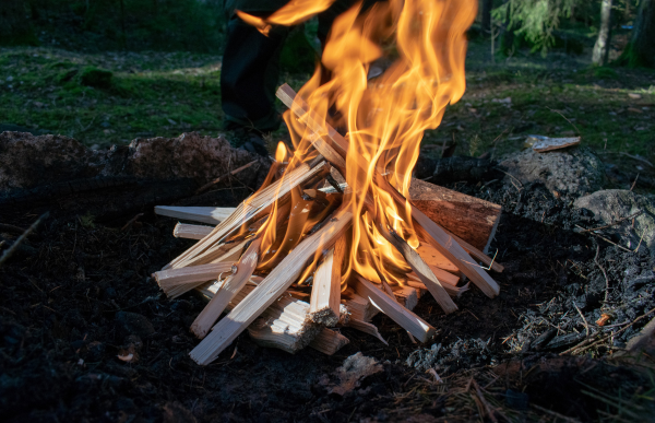 pile of wood in a bonfire